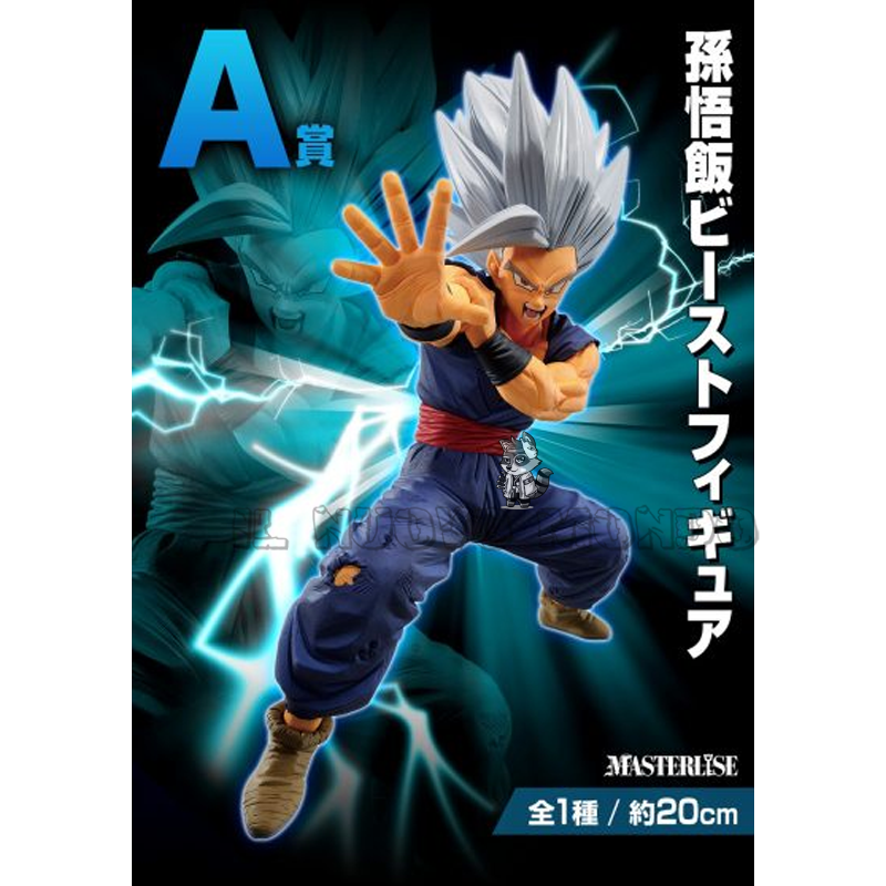 Biglietto Ichiban Kuji DRAGON BALL